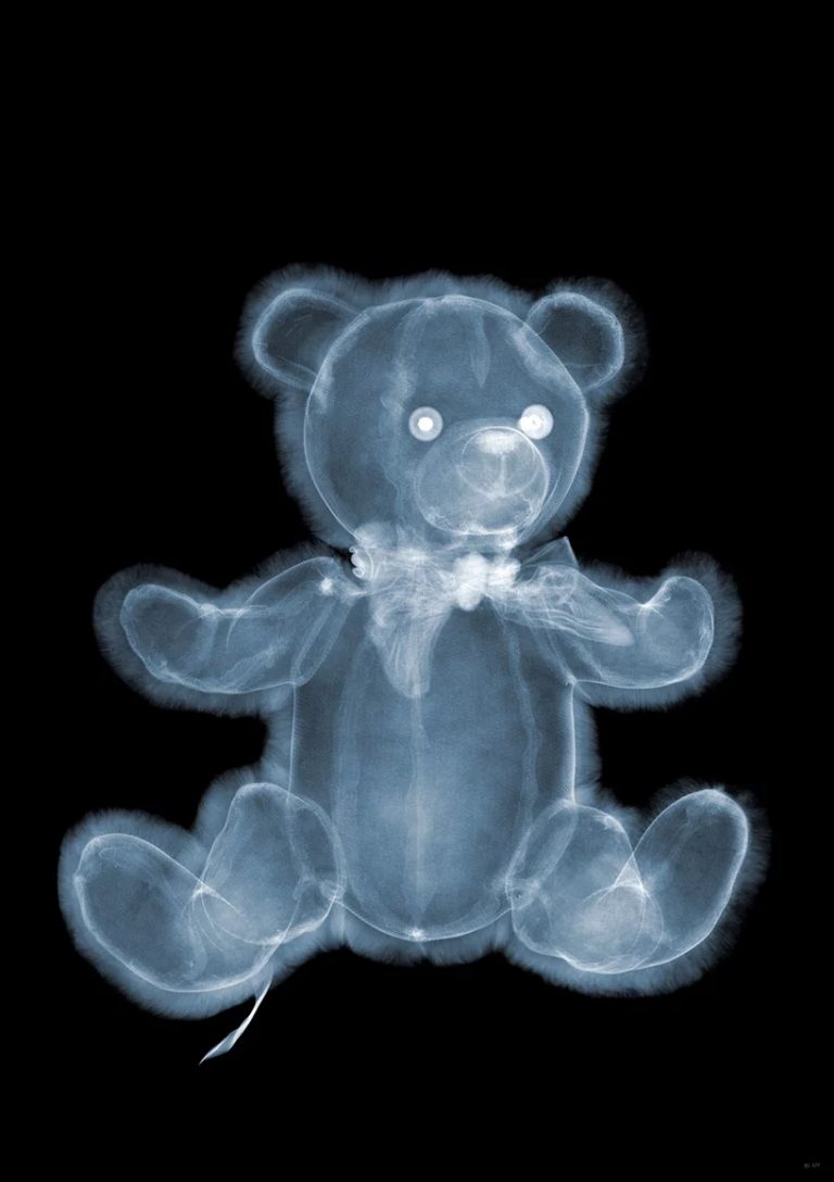 Amazing X Ray Photography Vuing