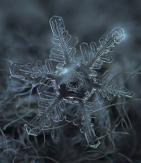 amazing-photography-beautiful-snowflake-pictures-macro-photographs (13)
