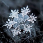 amazing-photography-beautiful-snowflake-pictures-macro-photographs (9)