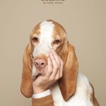 interesting-humorous-creative-funny-advertising-campaign-pet (4)