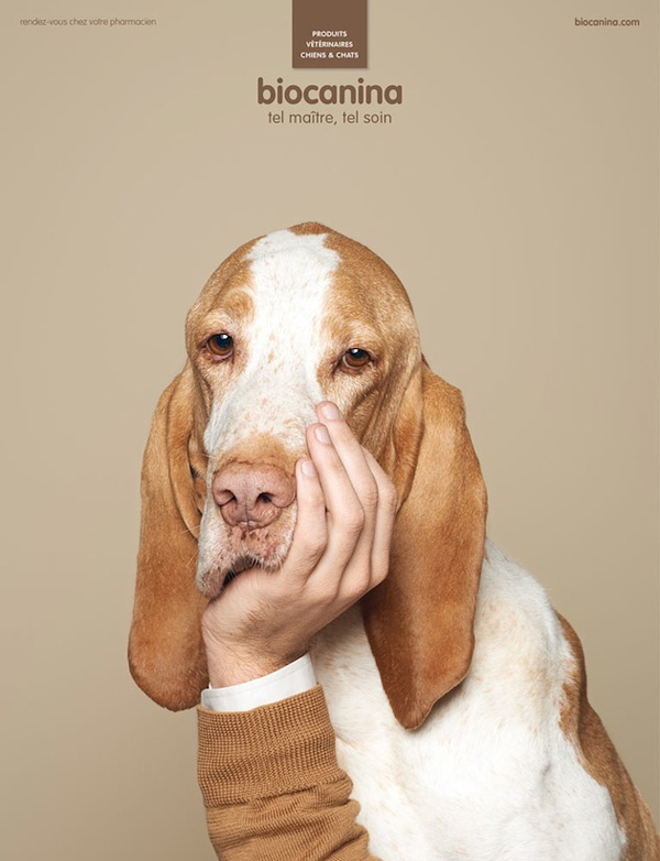 interesting-humorous-creative-funny-advertising-campaign-pet (4)