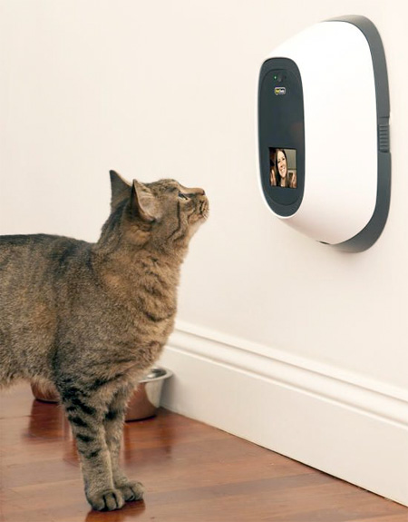 new-interactive-communication-system-device-for-pets (5)
