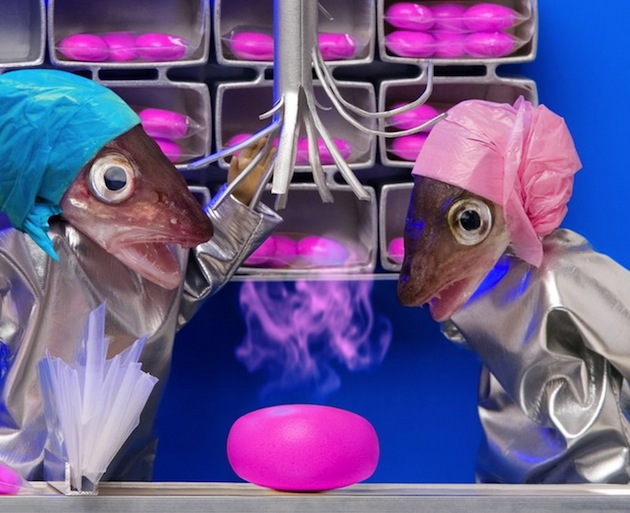 odd-strange-unusual-weird-funny-art-project-fish (2)
