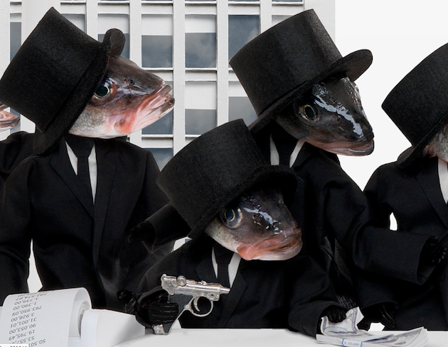 odd-strange-unusual-weird-funny-art-project-fish (7)