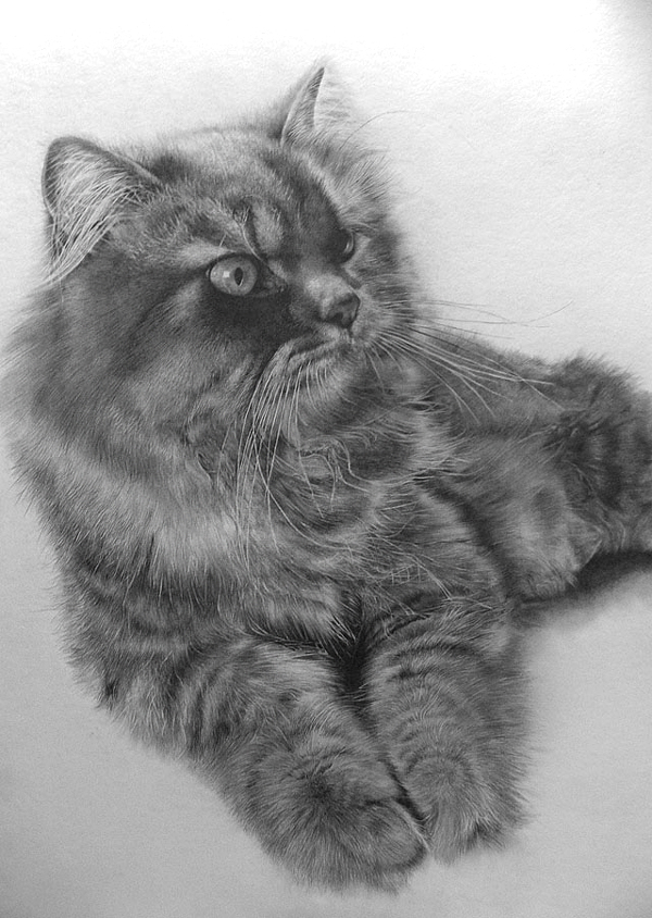 Beautiful photo-like pencil drawings – Vuing.com