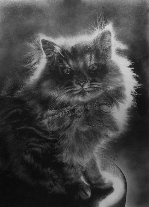 pencil drawings amazing cat drawing cool cats incredible sketches sketch draw lung paul realistic кошек photographs places really graphic kitten