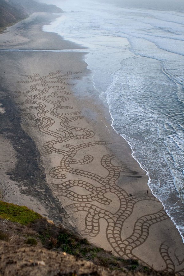 amazing-beautiful-sand-darwings-artworks (14)