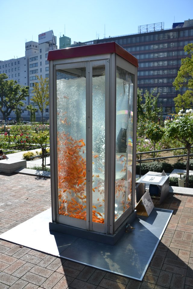 gold-Fish-Tank-aquarium-Phone-booth (1)