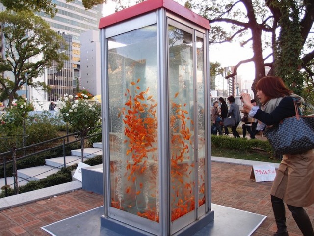 gold-Fish-Tank-aquarium-Phone-booth (2)
