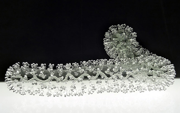 beautiful-amazing-virus-bacterium-biological-structures-glass-sculptures (1)