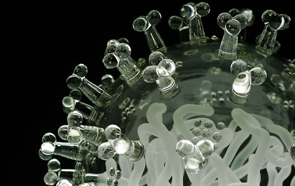 beautiful-amazing-virus-bacterium-biological-structures-glass-sculptures (14)