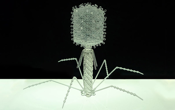 beautiful-amazing-virus-bacterium-biological-structures-glass-sculptures (17)