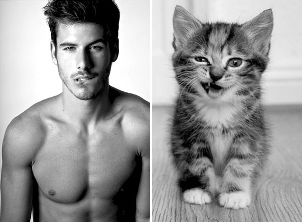 Funny combinations of hot actors & male models and cute cats – 