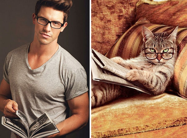 funny-hilarious-celebrities-male-stars-and-cats-pictures (15)