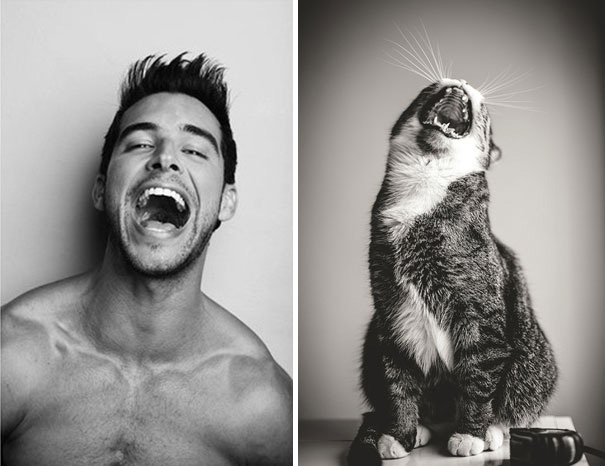 funny-hilarious-celebrities-male-stars-and-cats-pictures (17)