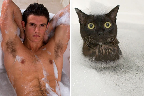 funny-hilarious-celebrities-male-stars-and-cats-pictures (19)
