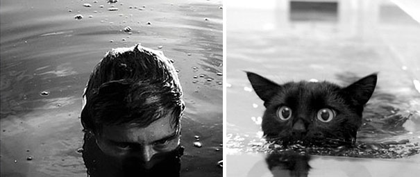 funny-hilarious-celebrities-male-stars-and-cats-pictures (3)