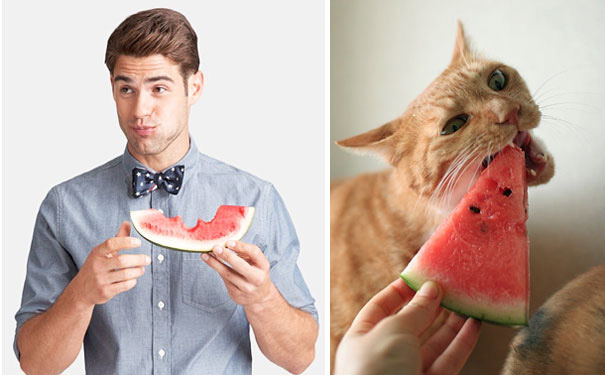 funny-hilarious-celebrities-male-stars-and-cats-pictures (5)