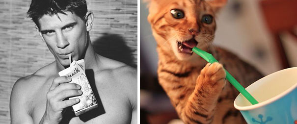 funny-hilarious-celebrities-male-stars-and-cats-pictures (6)