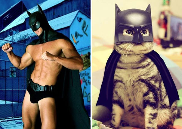 funny-hilarious-celebrities-male-stars-and-cats-pictures (7)
