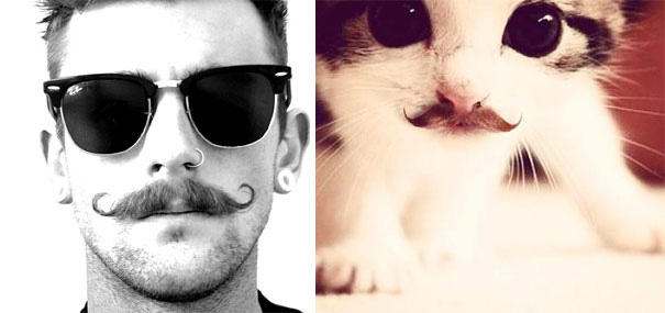 funny-hilarious-celebrities-male-stars-and-cats-pictures (9)