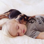 lovely-funny-cute-pictures-toddler-sleeping-with-puppy-dog (3)