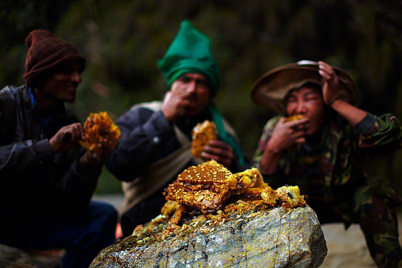 amazing-Nepal-Himalayan-traditional-honey-hunting-skills-photography (2)