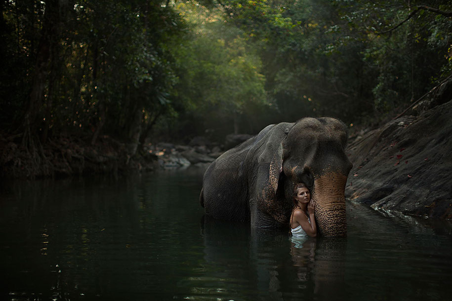 Wild animals and elegant girls together in dream-like photographs