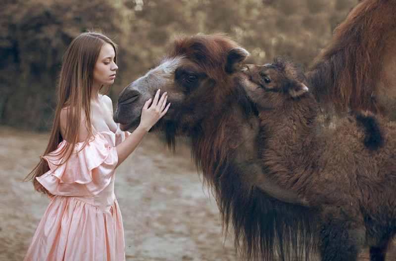 Wild animals and elegant girls together in dreamlike photographs