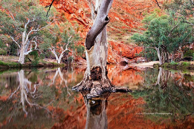 wildlife-photography-Australian-nature-landscape-photos (23)