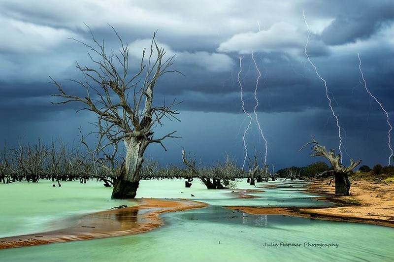 wildlife-photography-Australian-nature-landscape-photos (3)