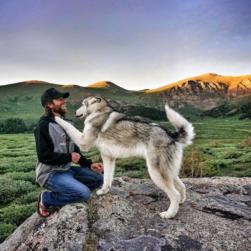 fun-Wolfdog-wild-life-adventures-nature-photography (1)
