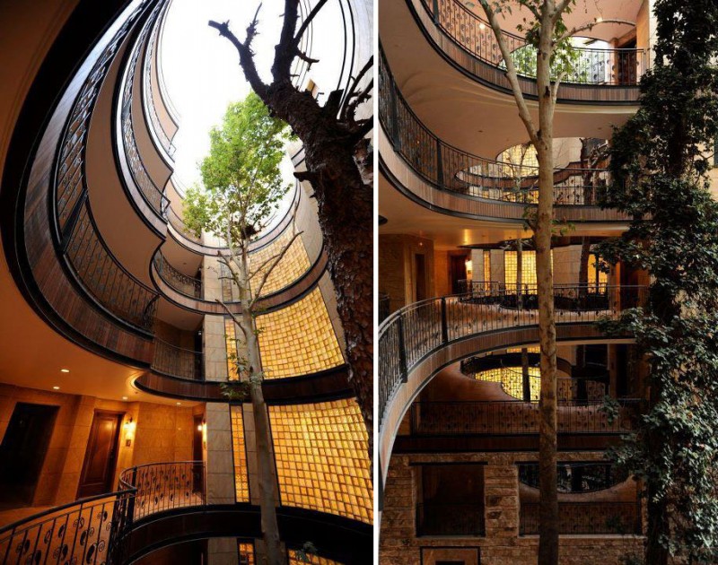 green-architecture-creative-tree-houses (13)