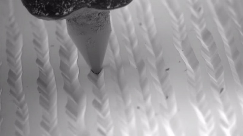 interesting-Slow-Motion-Video-electron-microscope-closeup-pictures (2)