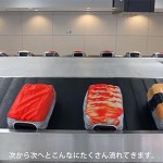 sushi-suitcase-luggage-covers-japa (4)