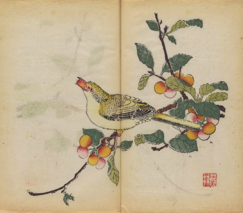 world-oldest-Calligraphy-Painting-coloured-book (9)