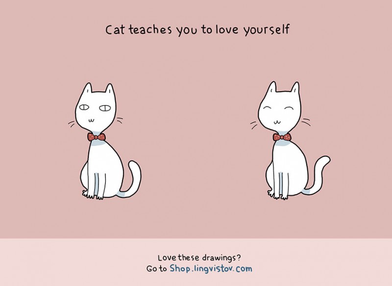 funny-amusing-humorous-comic-illustrations-pluses-benefits-having-cat (2)