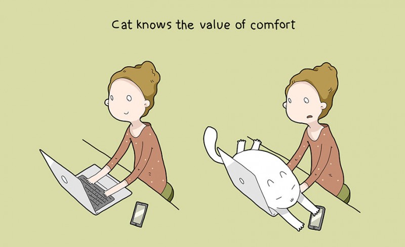 funny-amusing-humorous-comic-illustrations-pluses-benefits-having-cat (8)