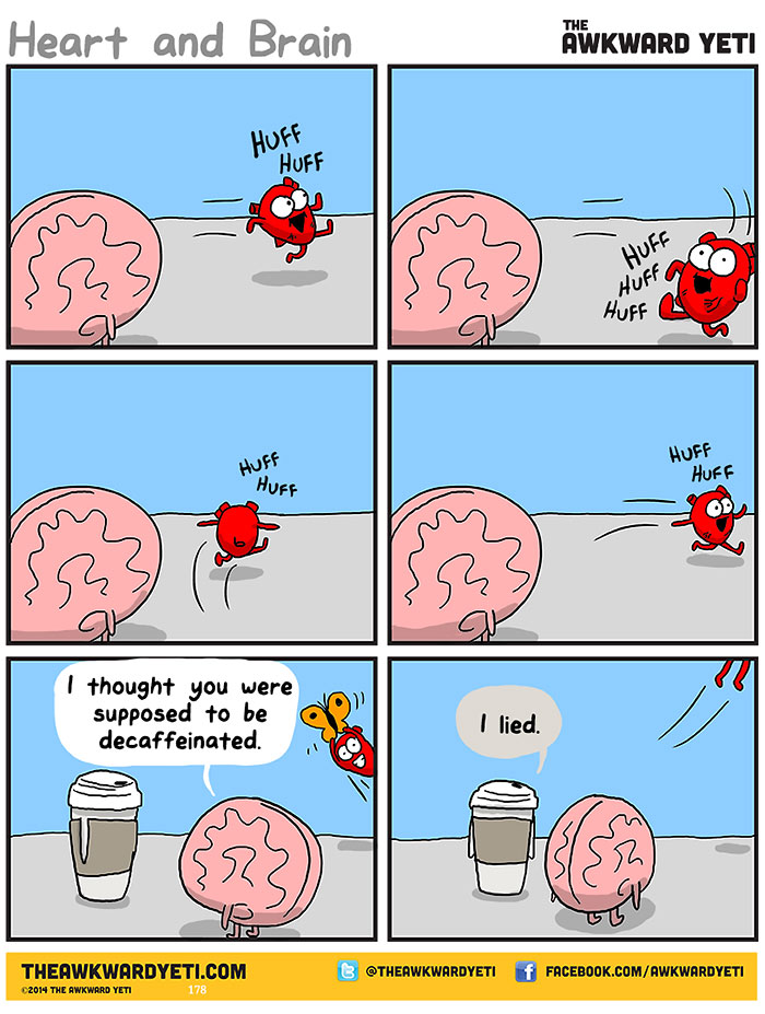 interesting-funny-webcomic-heart-vs-brain-cartoon (13)
