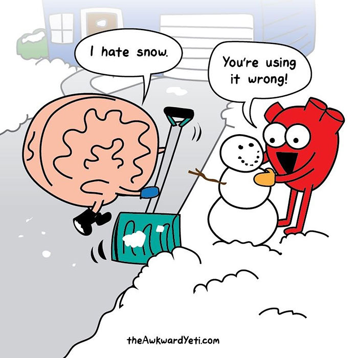 interesting-funny-webcomic-heart-vs-brain-cartoon (22)