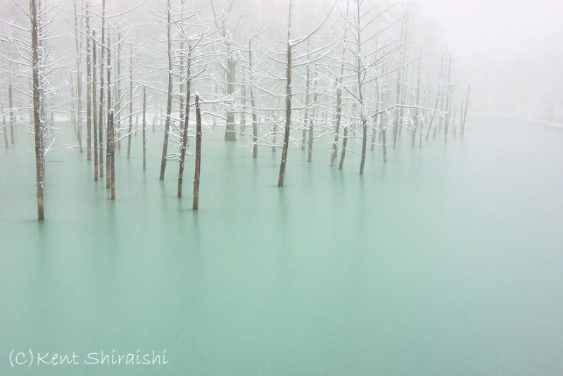 stunning-beautiful-Blue-Pond-snow-japan (5)