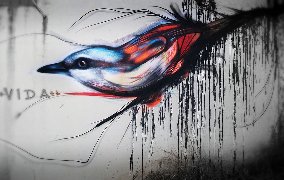 Impressive graffiti birds by a young Brazilian artist