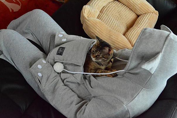 cute-cat-pouch-pocket-hoodie-design (4)