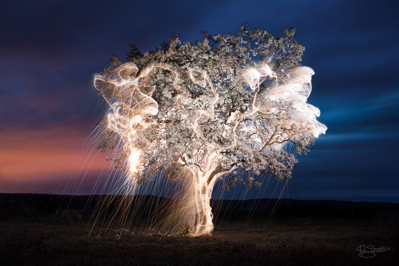 stunning-beautiful-tree-light-graffiti-doodles-long-exposure-technology (4)