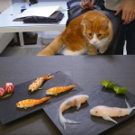 amazing-cooking-art-skill-koi-sushi-steps (6)