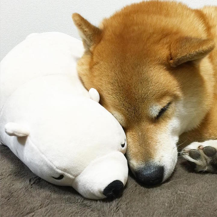 funny-cute-pup-dog-sleep-plush-bear-toy (6)