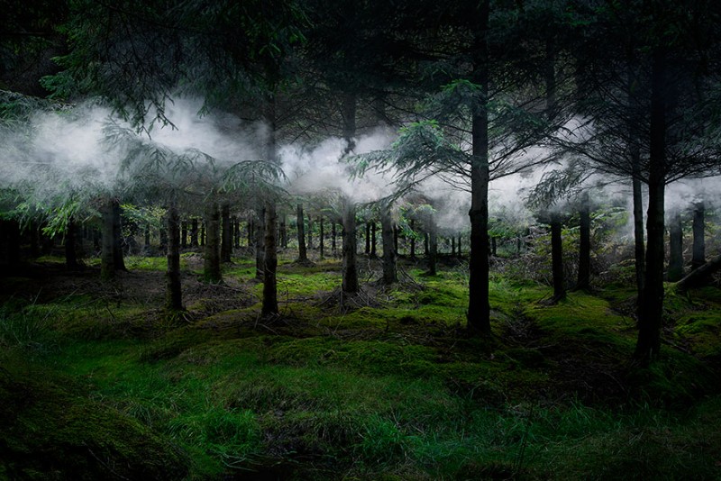 beautiful-ghostly-fairy-tale-forest-photograhy (5)