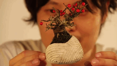cool-design-floating-bonsai-trees-in-air (1)
