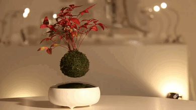 cool-design-floating-bonsai-trees-in-air (2)