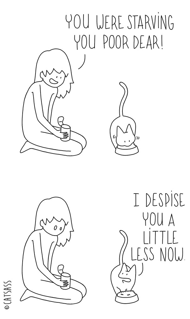 funny-comics-drawings-Catsass-cat-human-relationship-thinks (10)